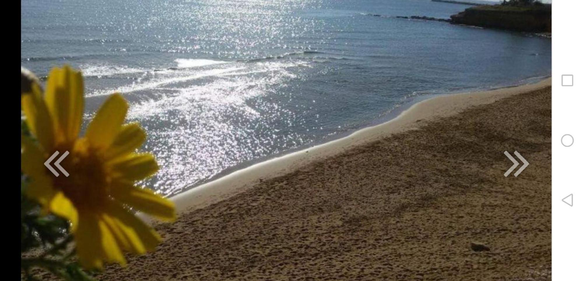 Xenia Garden 2 Διαμέρισμα Avola Εξωτερικό φωτογραφία